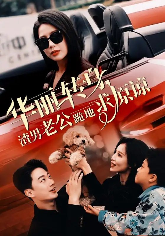 华丽转身，渣男老公跪地求原谅（30集）丁海霞