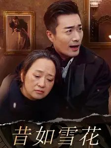 昔如雪花(30集)
