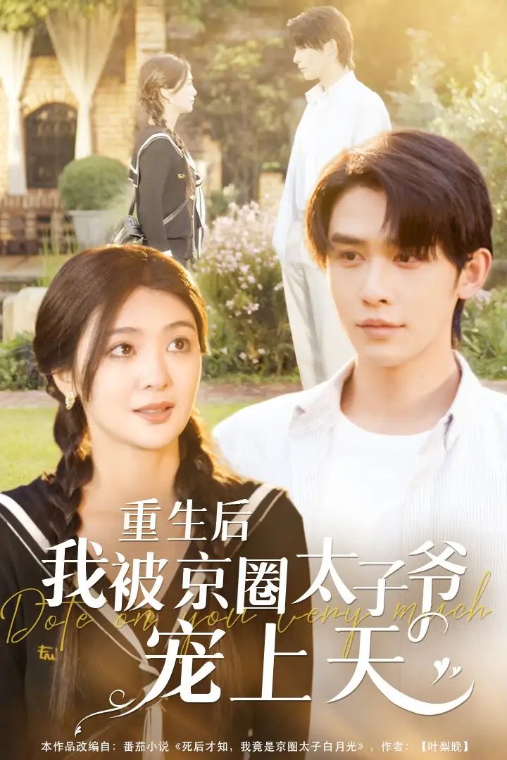 重生后我被京圈太子爷宠上天(78集)钟熙&申浩男