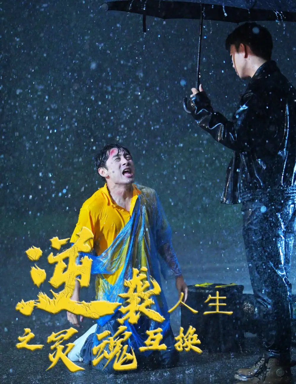 逆袭人生之灵魂互换(61集)田园