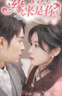 新版:缘来是你(77集)