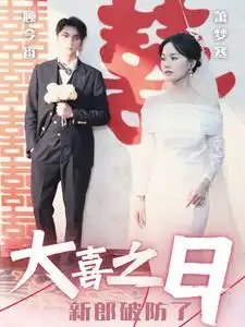 大喜之日新郎破防了（31集）