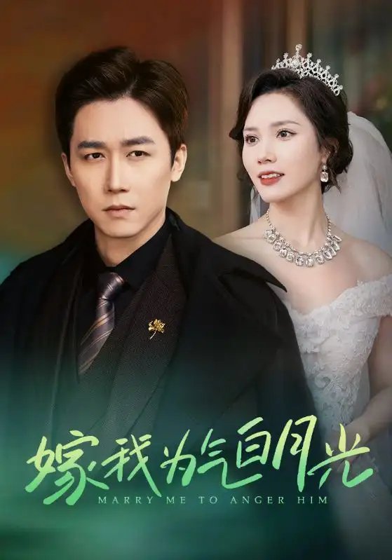 嫁我为气白月光(30集)