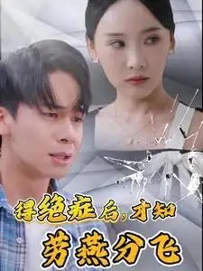 得绝症后，才知劳燕分飞（31集）