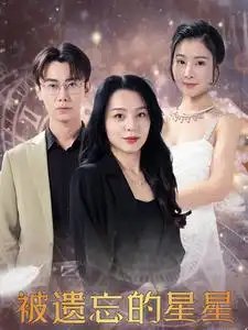 被遗忘的星星(28集)