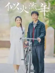 似火流年(100集)