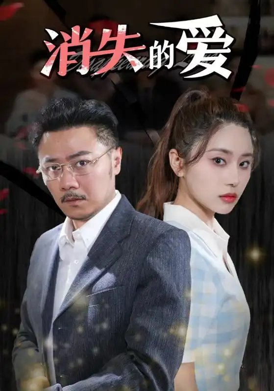 消失的爱（101集）