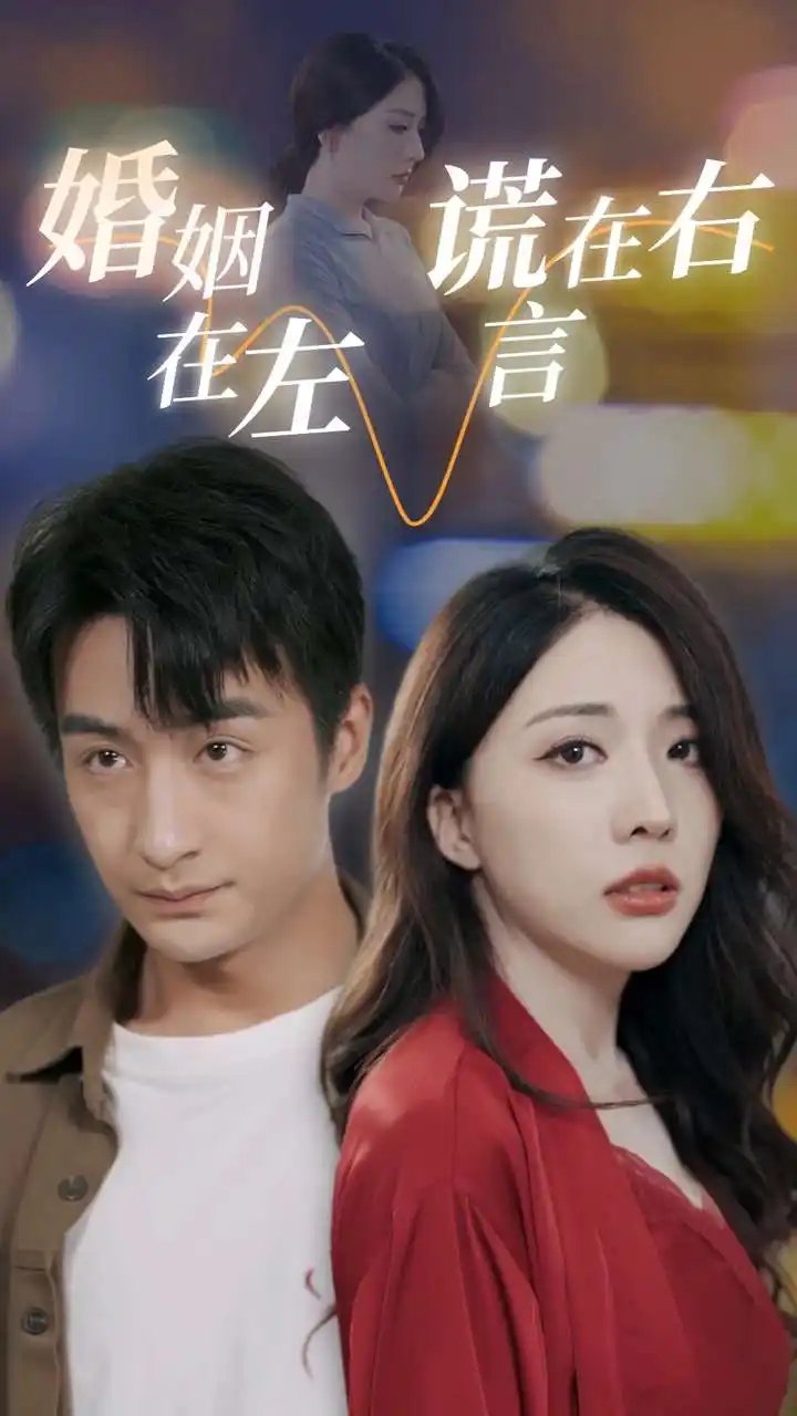 婚姻在左谎言在右(79集)