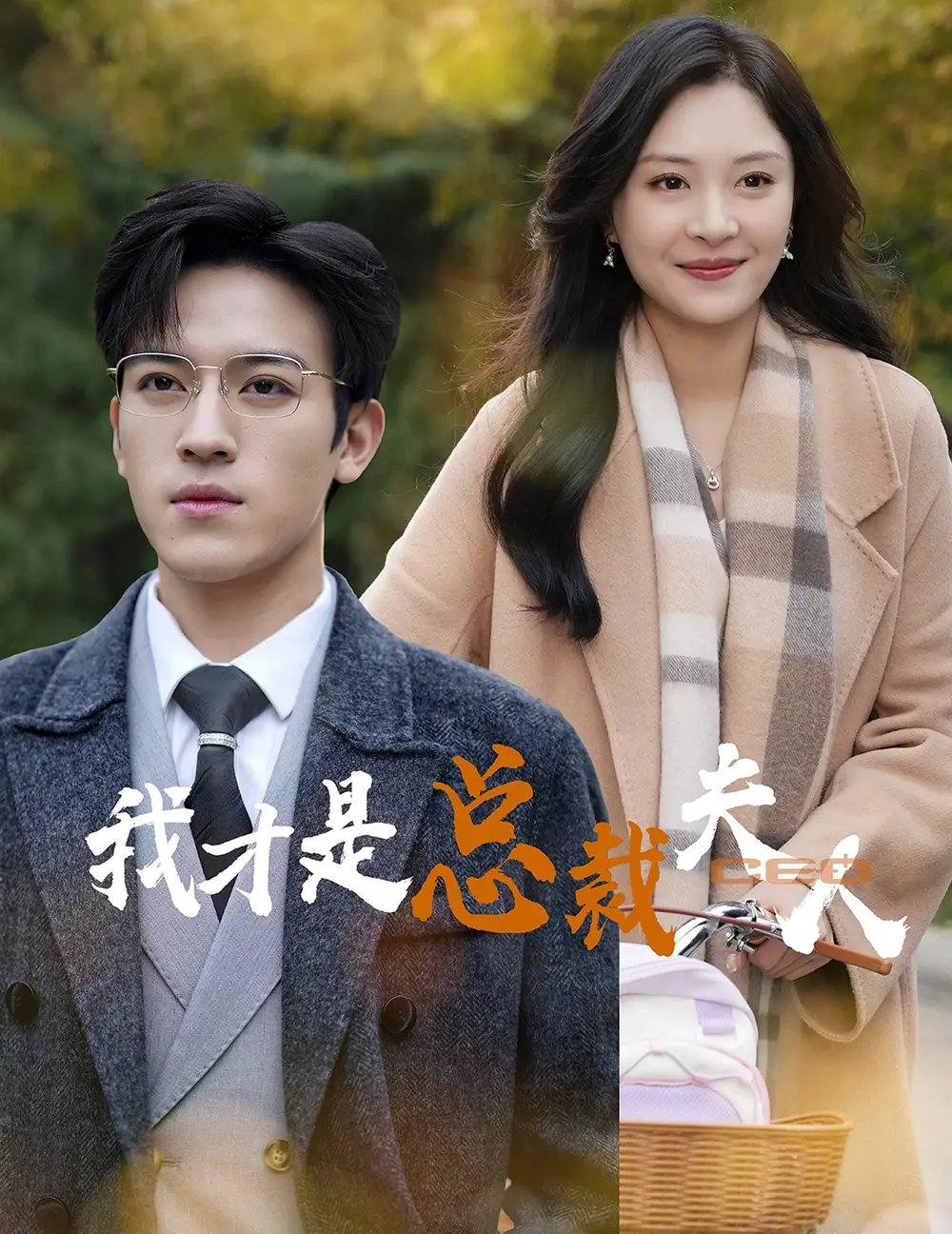 我才是总裁夫人(41集)