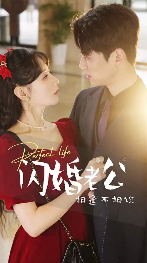 闪婚老公相逢不相识（90集）