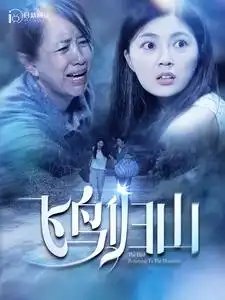 飞鸟归山（100集）邵迪