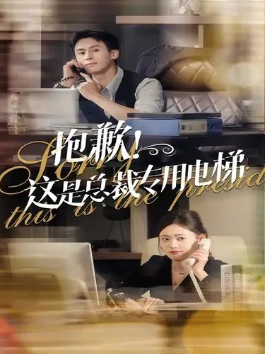 抱歉！这是总裁专用电梯（60集）王寒阳&四一