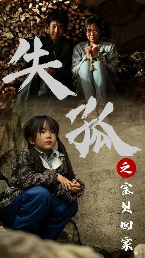 失孤之宝贝回家（71集）