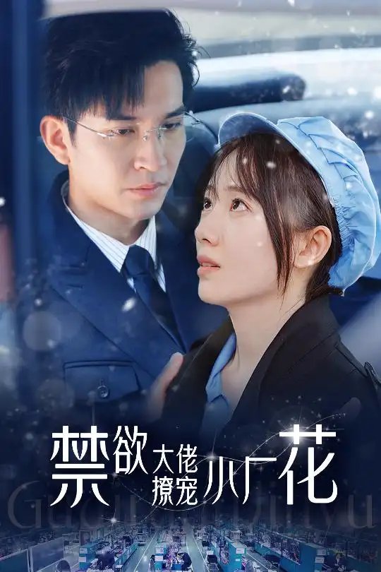 禁欲大佬撩宠小厂花&小可怜靠生子宠冠电子厂（54集）