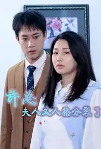 许总，夫人又人格分裂了（85集）