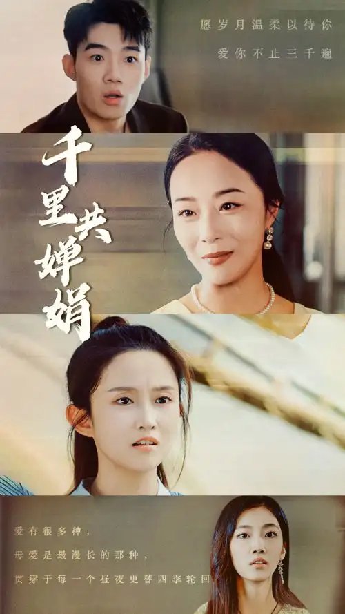 千里共婵娟（64集）