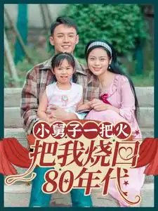 小舅子一把火把我烧回80年代(100集)