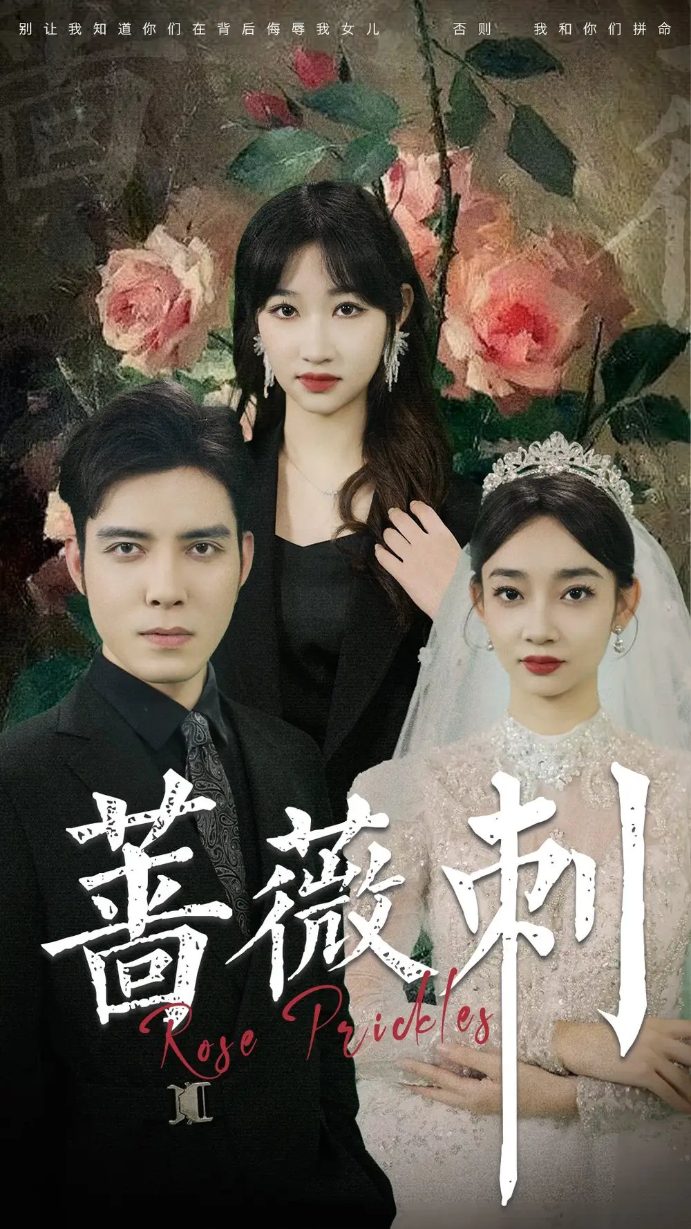 蔷薇刺（20集）