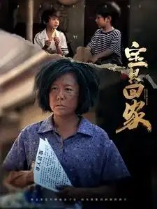 宝贝回家（80集）