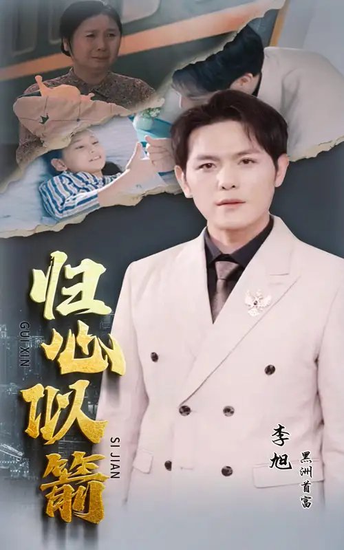 归心似箭（30集）