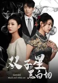 双子星黑白切（82集）