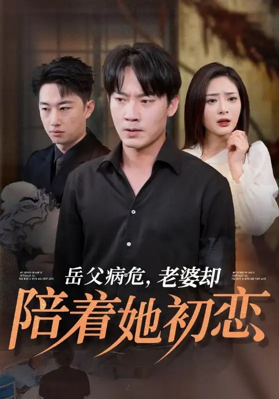 岳父病危，老婆却陪着她初恋（31集）