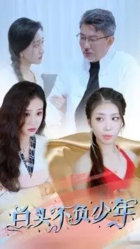 白头不负少年(60集)