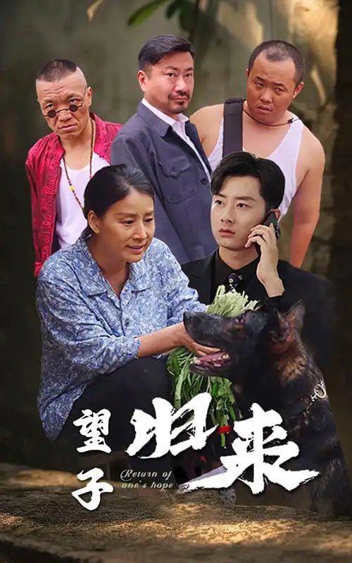 望子归来（50集）