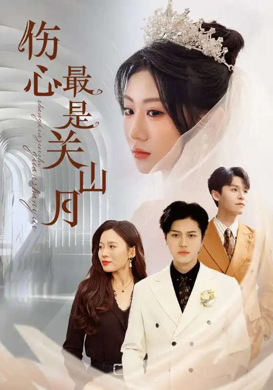 伤心最是关山月(82集)