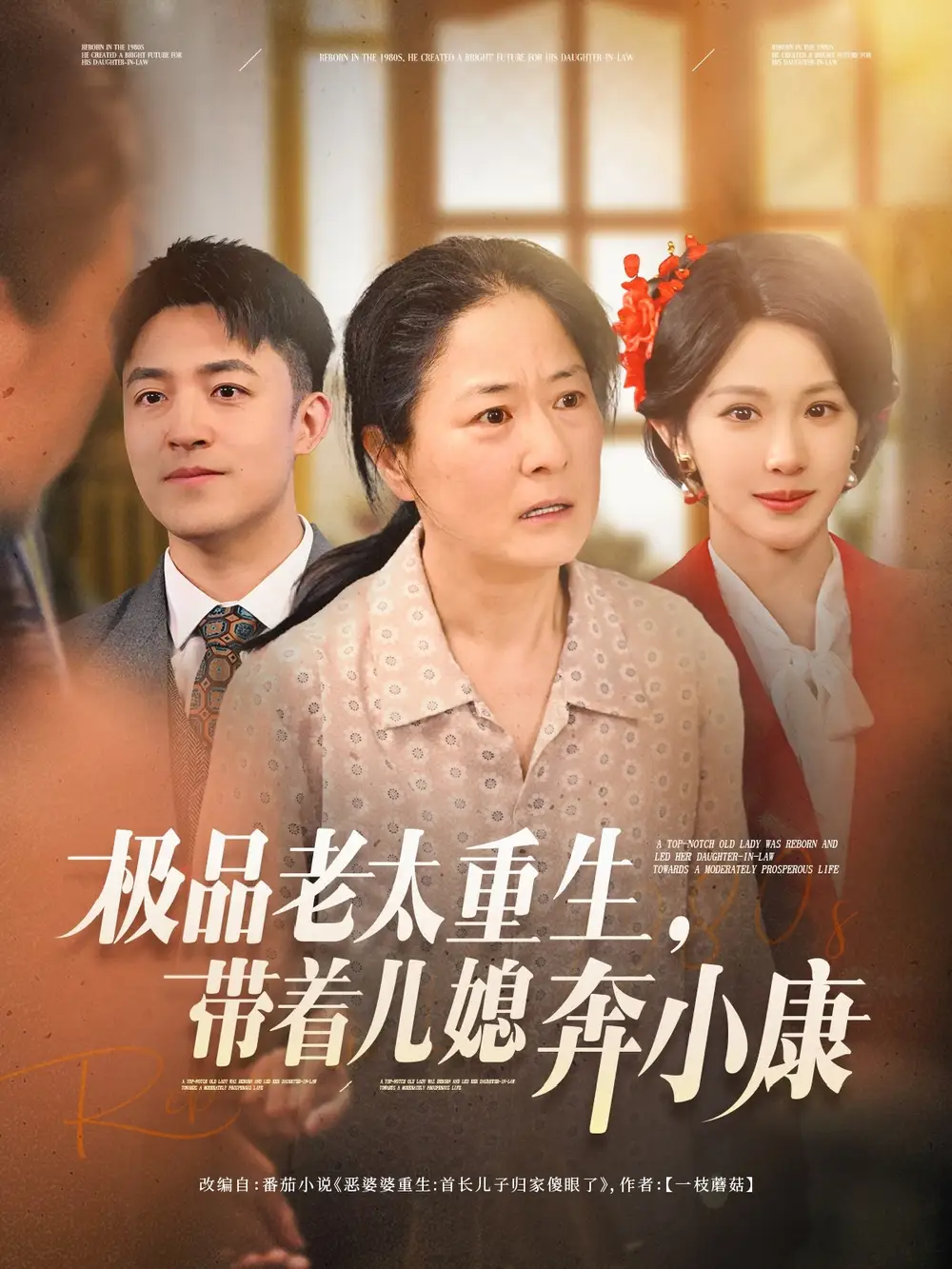 极品老太重生带着儿媳奔小康(65集)