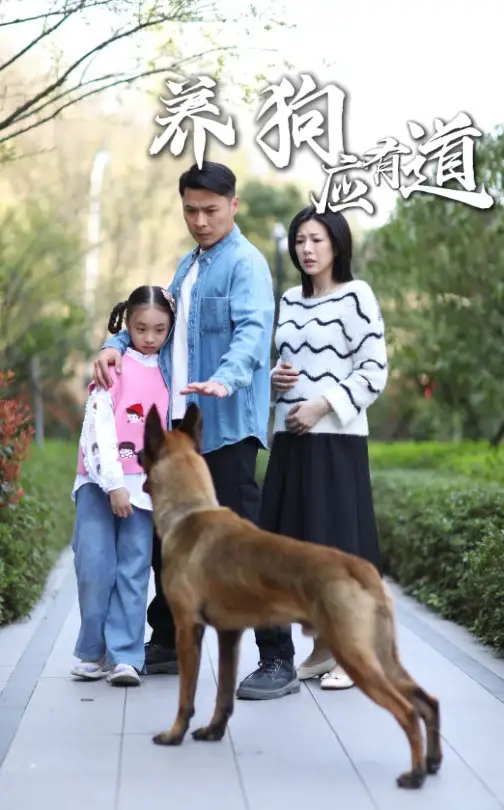 养狗应有道(60集)