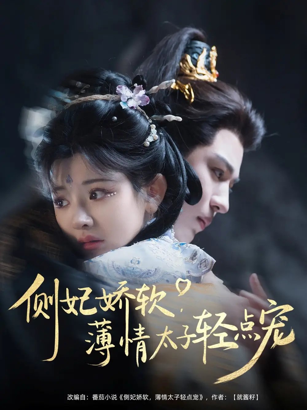 侧妃娇软，薄情太子轻点宠（80集）廖慧敏&蒙恩