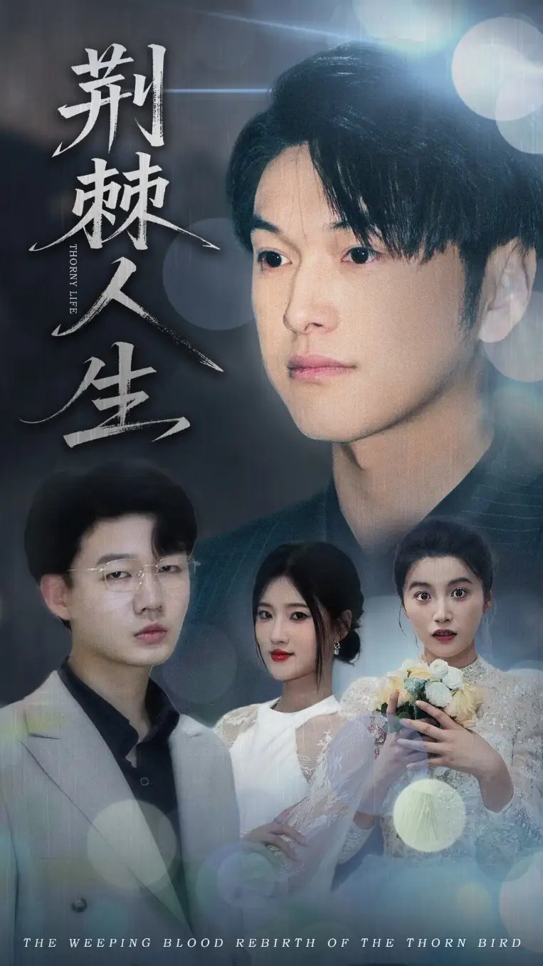 荆棘人生(74集)陈馨雨&胥宁轲