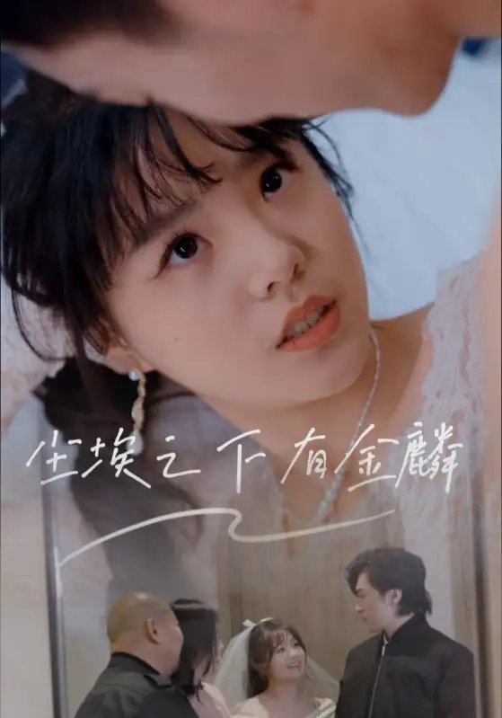 尘埃之下有金麟(60集)汪晓彤