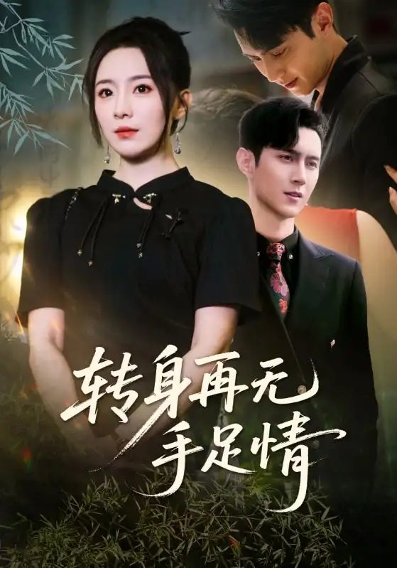 转身再无手足情(71集)