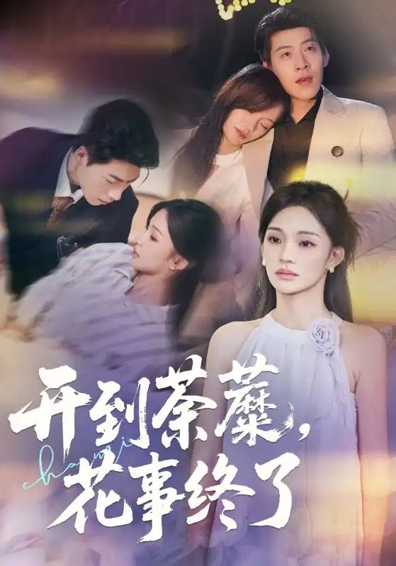 开到荼蘼,花事终了(77集)