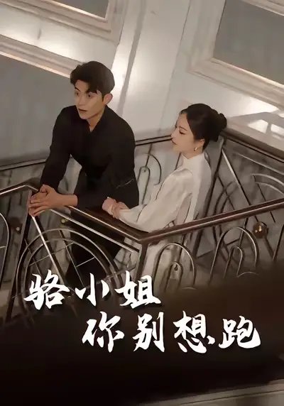 骆小姐你别想跑(30集)