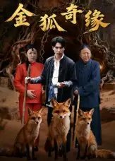 金狐奇缘(42集)