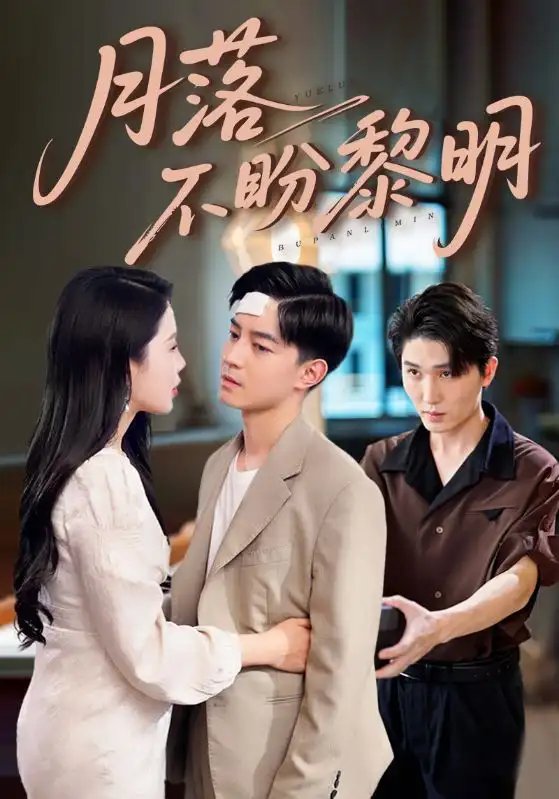 月落不盼黎明(64集)