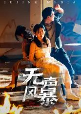 无声风暴（33集）