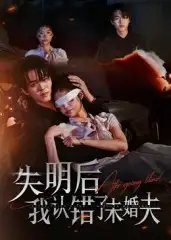失明后我认错了未婚夫（34集）
