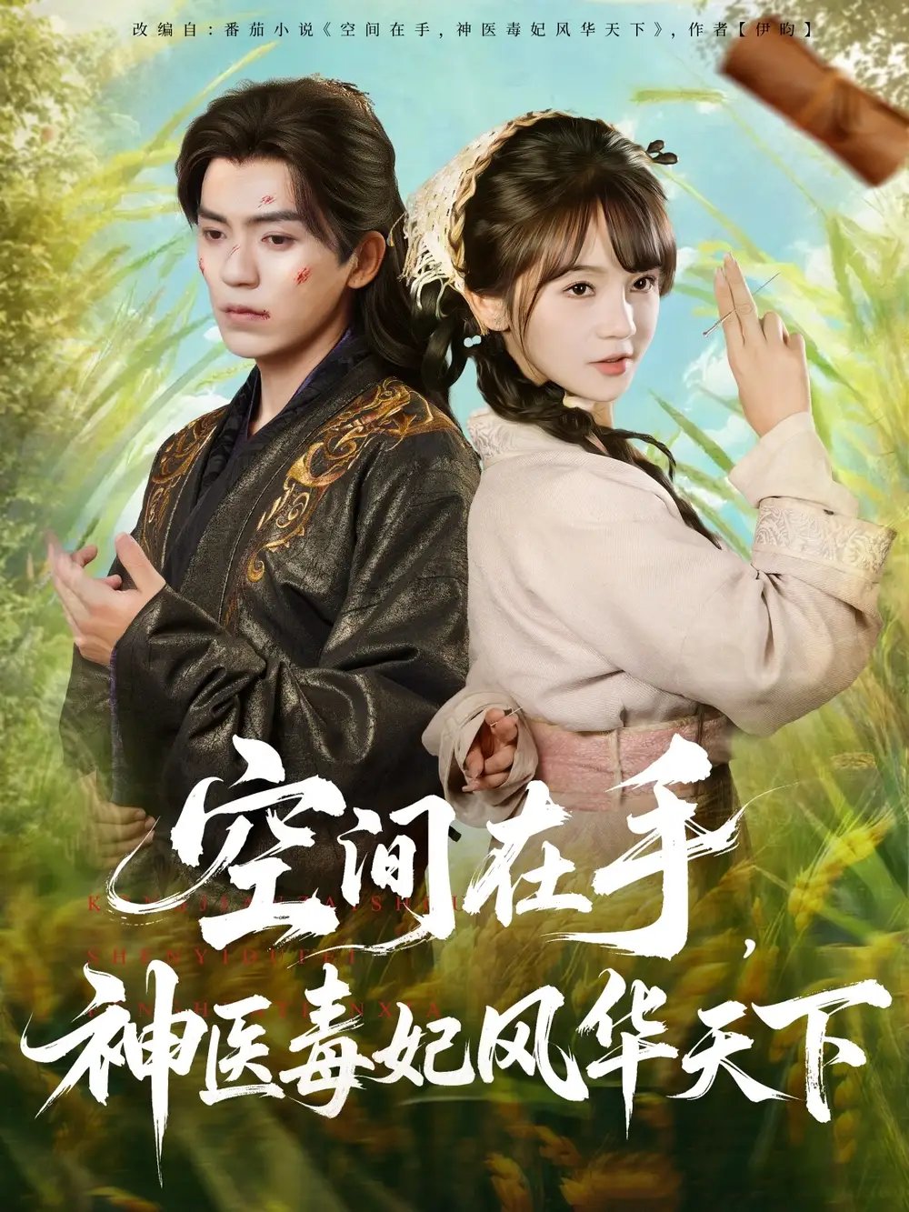 空间在手,神医毒妃风华天下(79集)