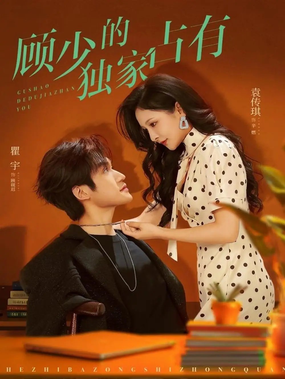 顾少的独家占有（66集）袁传琪&瞿宇