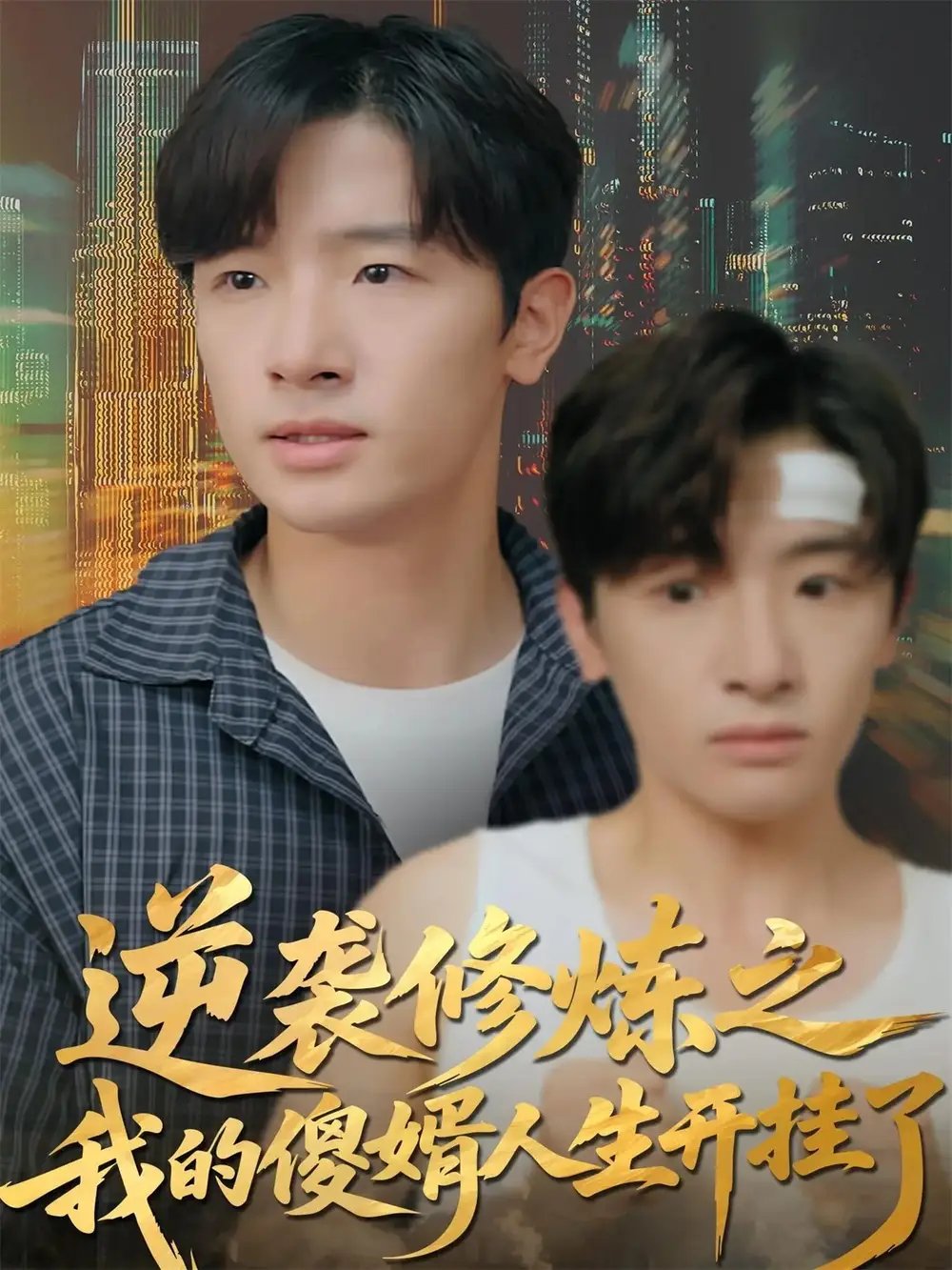 逆袭修炼之我的傻婿人生开挂了(65集)陈梓龙&刘梦杰