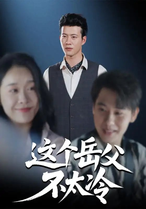 这个岳父不太冷(30集)