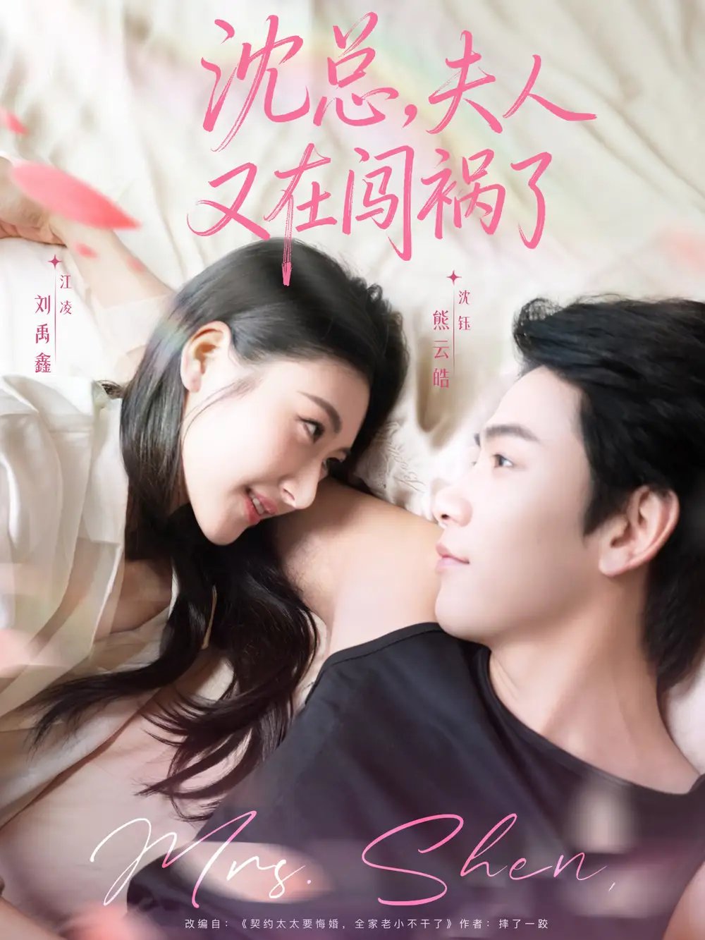 沈总夫人又在闯祸了(79集)熊云皓&刘禹鑫