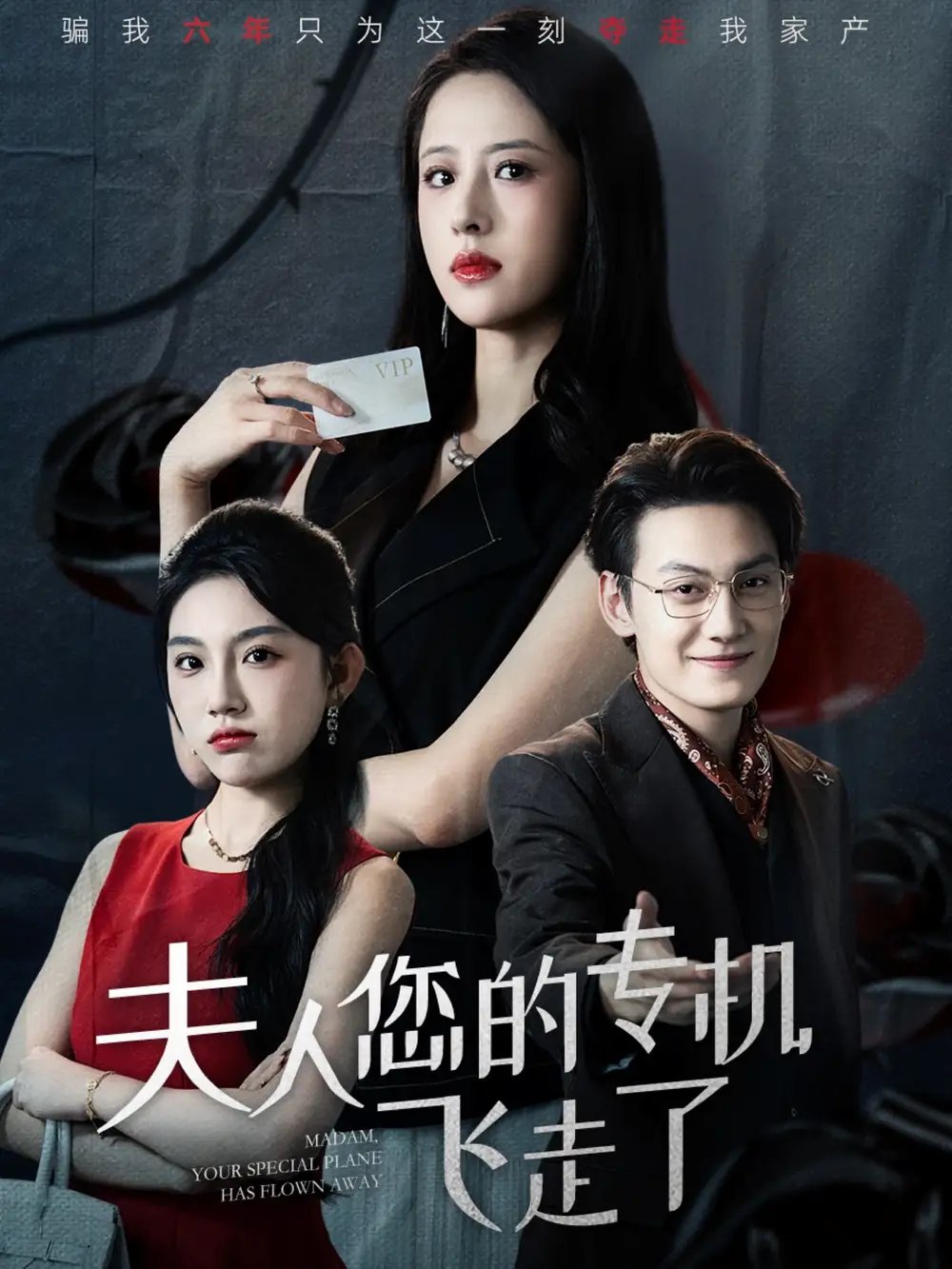 夫人您的专机飞走了(62集)