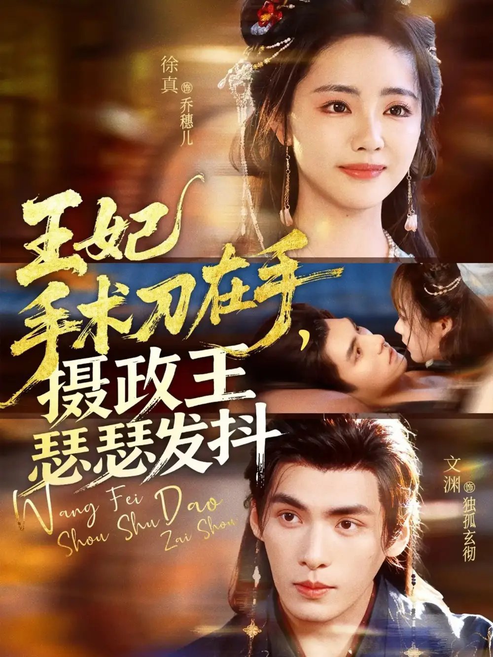 王妃手术刀在手摄政王瑟瑟发抖（73集）徐真&文渊